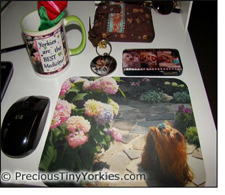 yorkie lover gift ideas